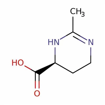 Ektoin